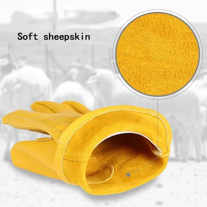 🏍️🚴‍♂️Retro Motorradhandschuhe aus echtem Schaffell – atmungsaktiv, rutschfest & stylisch 🧤🔥